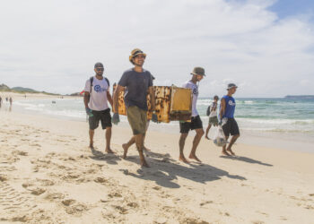Resultados da Ação de Limpeza na Praia Mole, Santa Catarina