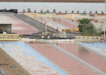 Dessalinização da água do mar: afinal, esse projeto é viável?