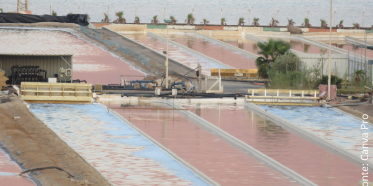 Dessalinização da água do mar: afinal, esse projeto é viável?