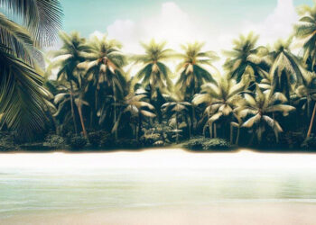 Turismo Regenerativo