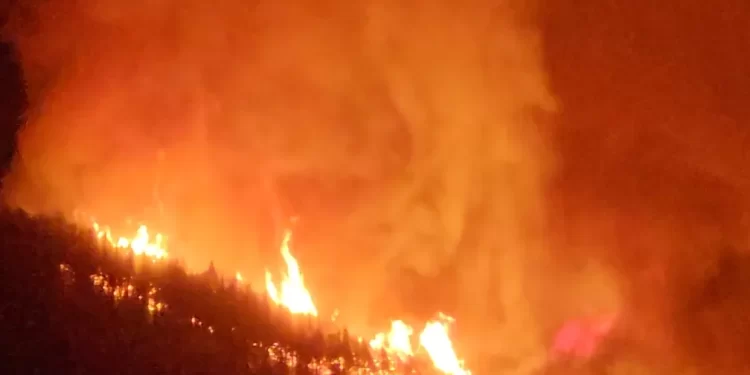 Incêndio ‘fora de controle’ avança na ilha espanhola de Tenerife