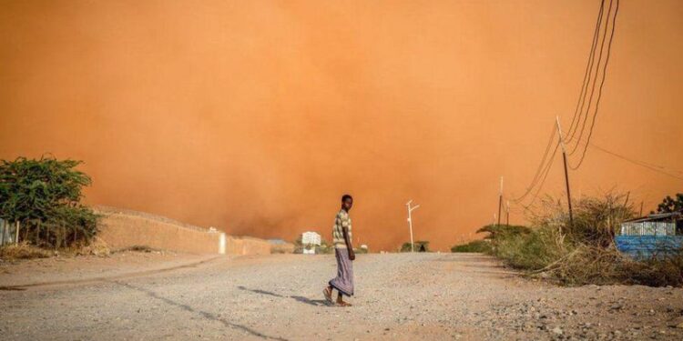 O que é a COP28 e por que ela importa para o futuro do planeta