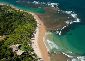 Descobrindo a beleza de Taipu de Fora: Resultados da Ação de Limpeza de Praia