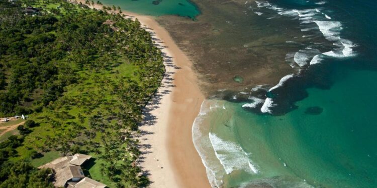 Descobrindo a beleza de Taipu de Fora: Resultados da Ação de Limpeza de Praia