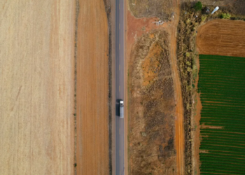 Inpe: alertas de desmatamento no Cerrado têm pior novembro da série histórica