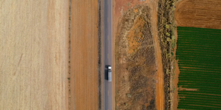 Inpe: alertas de desmatamento no Cerrado têm pior novembro da série histórica