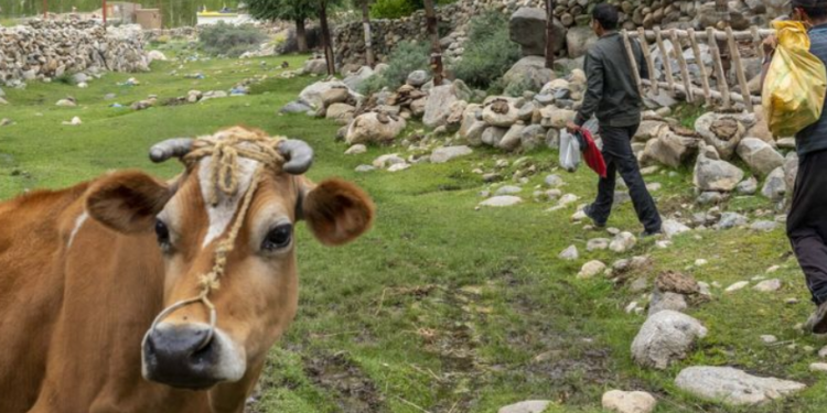 Mudança climática: quais alimentos produzem as maiores emissões de gases de efeito estufa