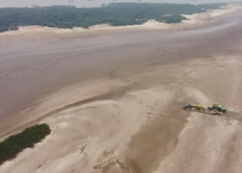 Quatro rios da Bacia Amazônica chegam ao menor nível histórico em setembro; veja impactos