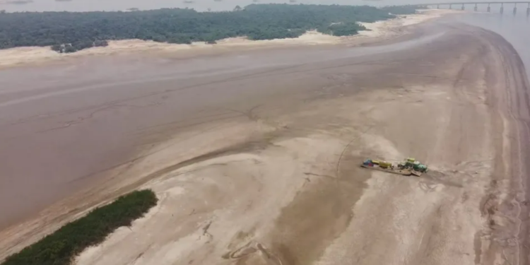 Quatro rios da Bacia Amazônica chegam ao menor nível histórico em setembro; veja impactos