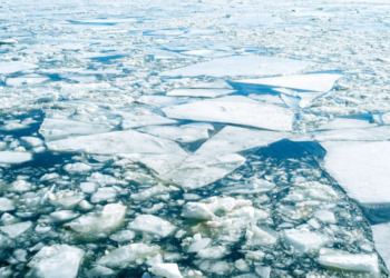 Descubra os 15 pontos mais críticos para a conservação da natureza em 2024