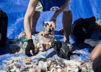 Rascunho do Tratado Global de Plásticos é divulgado e acende alerta