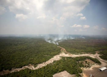 A combinação climática que está secando os rios da Amazônia