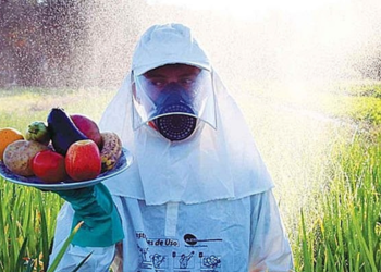 Jornada de Agroecologia no PR quer barrar avanço do PL do Veneno: ‘Precisamos de mobilização’