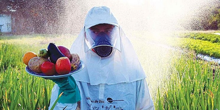 Jornada de Agroecologia no PR quer barrar avanço do PL do Veneno: ‘Precisamos de mobilização’