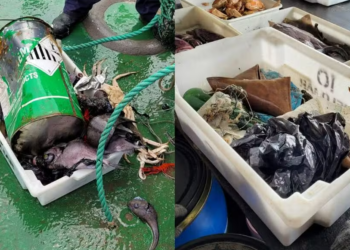 Pesquisadores avaliam presença de lixo no oceano profundo do Brasil