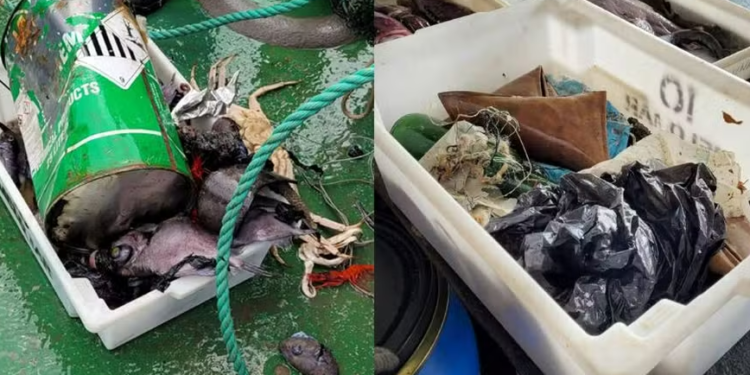 Pesquisadores avaliam presença de lixo no oceano profundo do Brasil