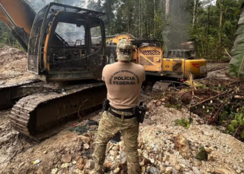 Operação da PF mira garimpo ilegal que desmatou 83 campos de futebol perto de terra indígena no AP