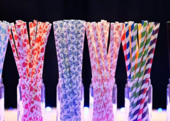 Canudo de papel é realmente melhor que o de plástico? O impacto de cada um, segundo a Ciência