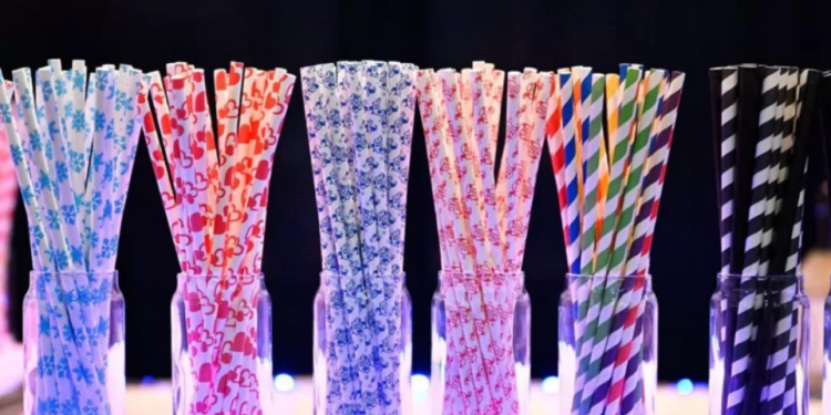 Canudo de papel é realmente melhor que o de plástico? O impacto de cada um, segundo a Ciência