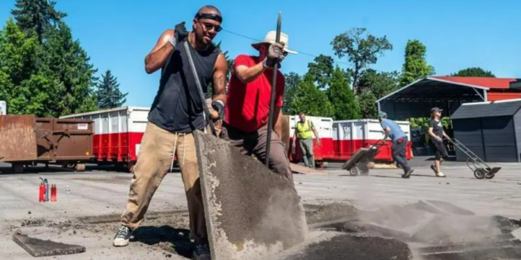 As cidades que estão tirando concreto das ruas para que plantas cresçam de novo