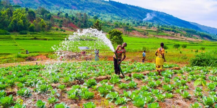 Guiados pela natureza: a transformação econômica que precisamos até 2030
