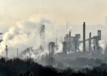 Entenda o projeto que quer regulamentar o mercado de carbono no país