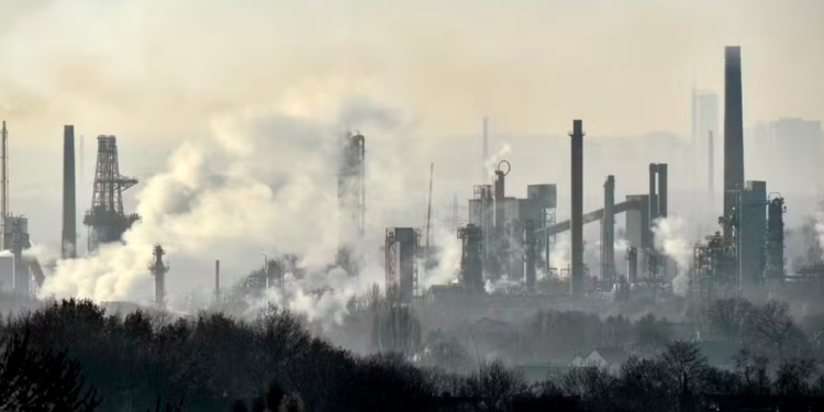 Entenda o projeto que quer regulamentar o mercado de carbono no país