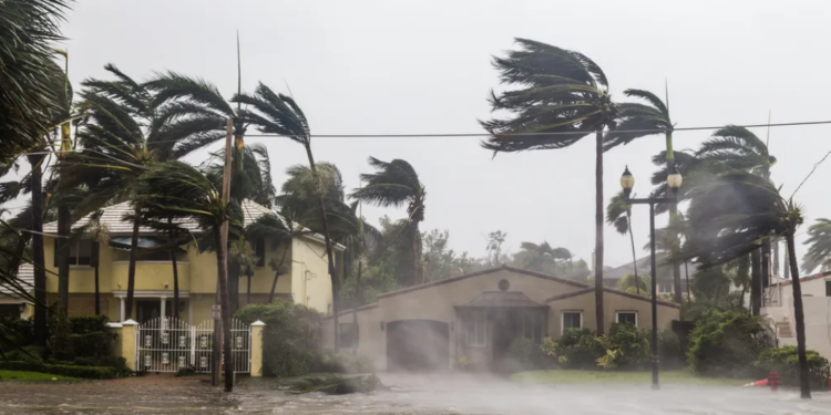 No oceano Atlântico algo cada vez mais incomum para a ciência está acontecendo, alertam os especialistas
