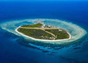 O homem que transformou ilha devastada por mineração em paraíso ecológico na Austrália