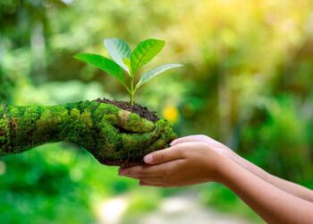 Saúde ambiental: o que é e qual a sua importância