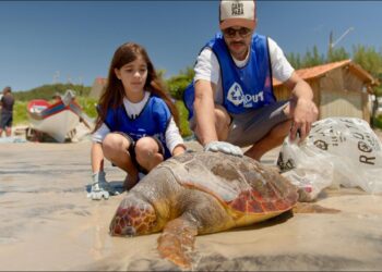 Ação sustentável em Garopaba, Santa Catarina: Transformando compromisso em resultados