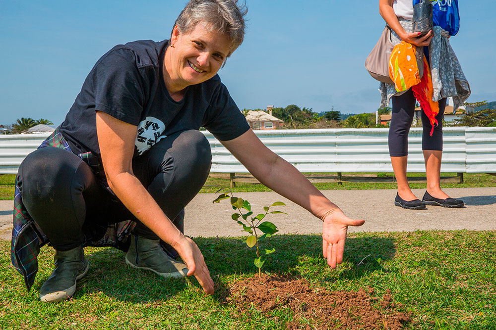 Dia Mundial Das Florestas 21 De Março Soluções Para Preservar