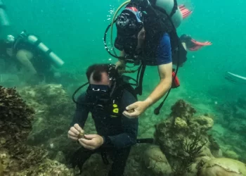 Temperaturas do oceano no sul da Flórida atingem níveis de banheira de hidromassagem