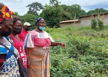 Apoio alimentar da ONU chegou a mais de 179 mil em julho na Guiné-Bissau