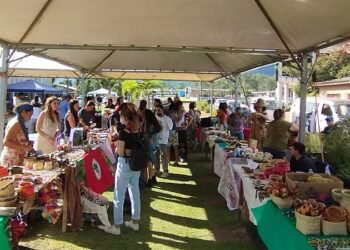 Feira de Biodiversidade e Economia Solidária de Maquiné (RS) se desafia a ‘rebrotar’ após ciclone que devastou município