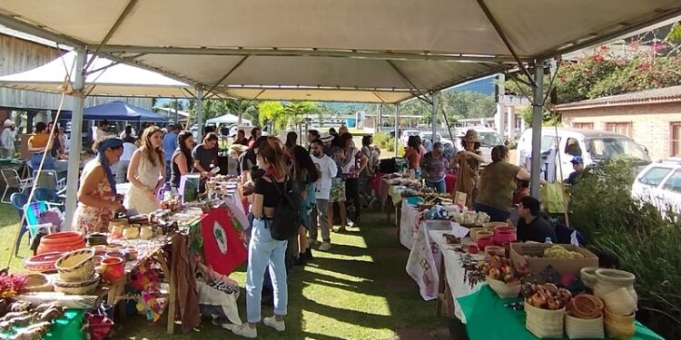 Feira de Biodiversidade e Economia Solidária de Maquiné (RS) se desafia a ‘rebrotar’ após ciclone que devastou município