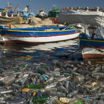 Acumulo de plástico no mar no porto de Trípoli