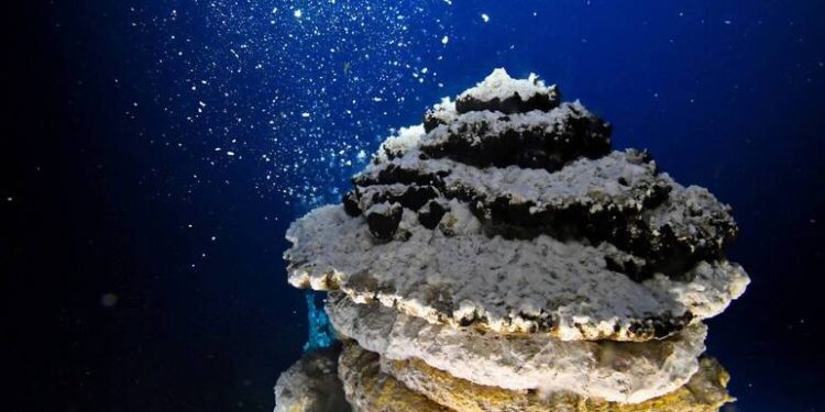 Oceanos absorvem mais carbono da atmosfera do que o previsto, aponta estudo