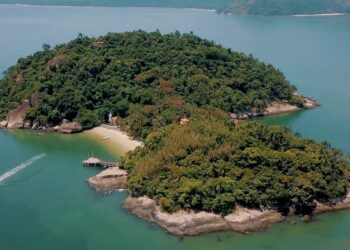 Novo aplicativo ajuda os jovens a virar a maré da poluição plástica